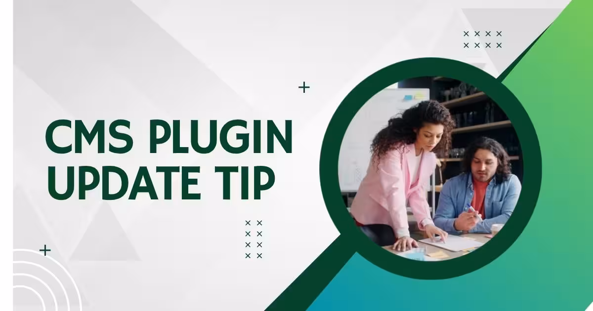 Safe CMS & Plugin Updates Guide Website development company in Tirupur